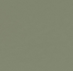 Линолеум Forbo Furniture Linoleum 4184 olive фото 1 | FLOORDEALER